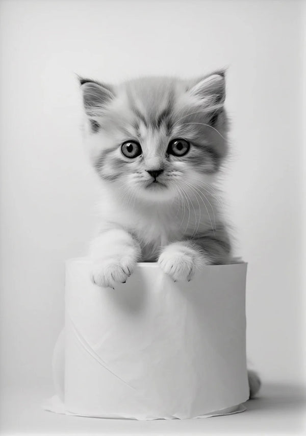 49602568454427|49602568487195|49602568651035|49602568683803